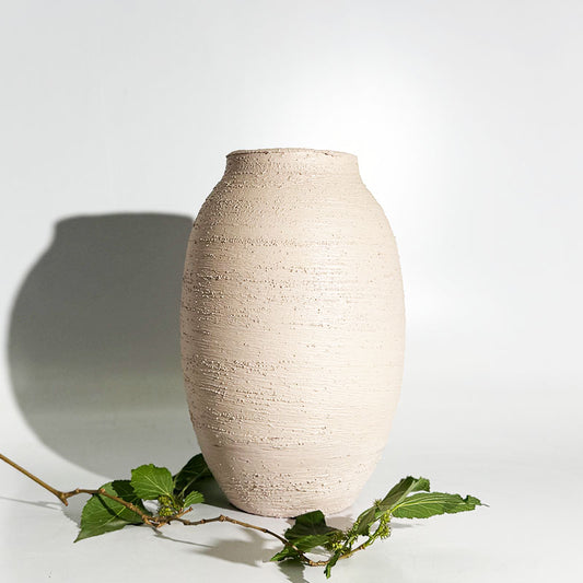 vaso bruto médio